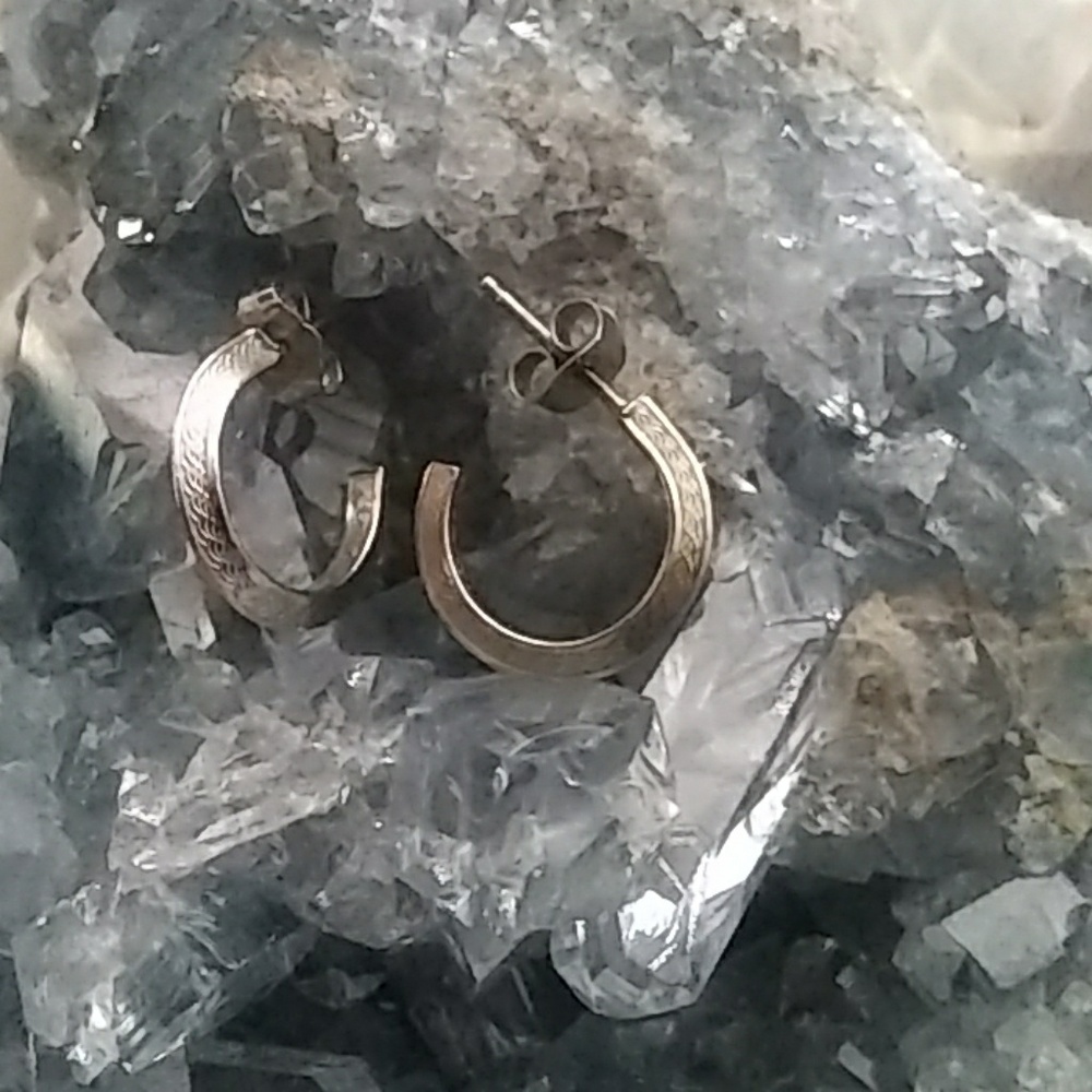 Silver Hoop Earrings